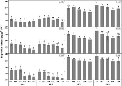Low temperature decreased insecticidal protein contents of cotton and its physiological mechanism